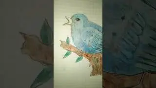 Realistic bird drawing and colouring shading short video # Janvi's Kitchen Art's Crafts and More