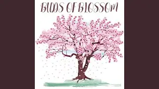 Spring Inspiration