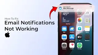 How to Fix Email Notifications Not Working on iPhone?