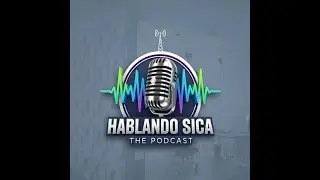 segmento #2  (Estoy que me conformo)