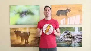 Как эффективно использовать форму в фотографии