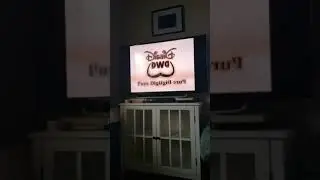 Disney DVD Red Logos Reversed