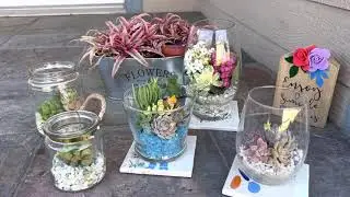Succulent terrariums and beautiful 