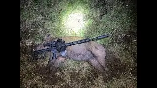22MAR19 Solo Boar