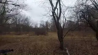 Franklin's bird hunt with Matt 2018