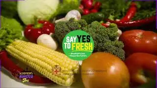 NIC Booster Tips Part 2 on AgriViews