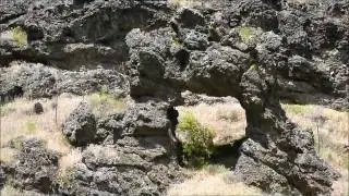 The Ant and The Yellowjacket, Nez Perce National Historic Park, Idaho, USA