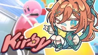 I DID NOT PLAY KIRBY AIR RIDERS