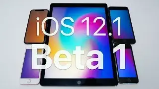 iOS 12.1 Beta 1 &mdash; что нового?