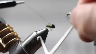 The Waltz Worm - Fly Tying Tutorials - The Young Guides Podcast
