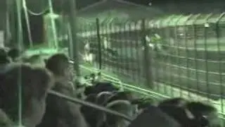 Sprint Car Crash @ Jackson Speedway