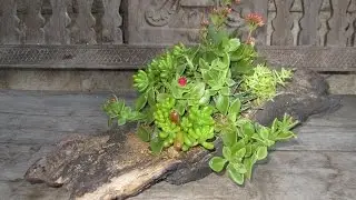 Rustic Crafts by Miel: Treecycling a Piece of Burnt Tree Trunk