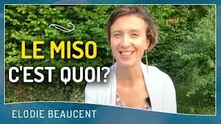 Le miso, c'est quoi ?