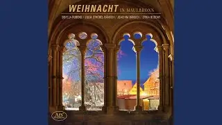 Flute Partita in A Minor, BWV 1013 (Arr. for Oboe) : IV. Bourree Anglaise