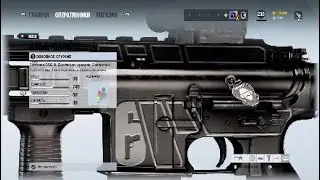 Весь Year 5 Pass