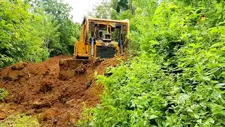 Natural Challenges D6R XL Bulldozer Handles Road Construction in Dense Forest