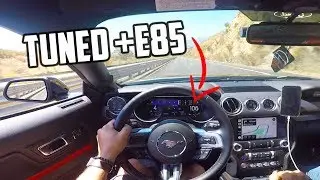 2019 Mustang GT roars through the canyons with CORSA EXTREME!
