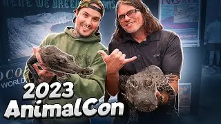 AnimalCon 2023: A Wild Adventure in the World Of Creatures!