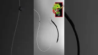 Split shot rig is an easy, versatile, effective rig for bass