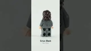 LEGO 75945 Expecto patronum - Sirius Black minifigure