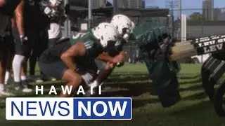 Defense shines in day three of UH football training camp, unit looks to open the playbook