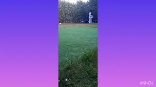 Playing in my garden and doing challenges good watching time😀