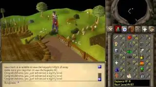 RSPS Darkagepkz Glitch