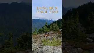 Last full week of 80k ultra training. Race day next week. Let's gooo #fitness #ultra #run