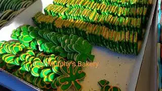 Running Vlog- Everybody's Irish 10k, Lake Harriet