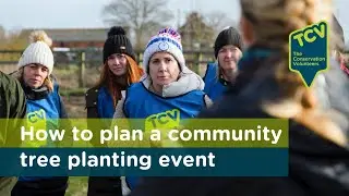 How to plan a community tree planting event