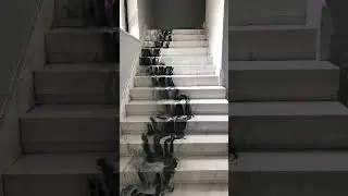 Stair Complit With White Panda Stone