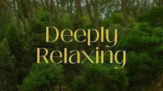 Relaxing Nature Music with Piano for Deep Calm & Gentle Focus