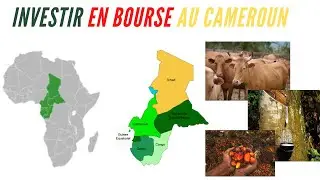 1. BOURSE | BVMAC | Investir en bourse au Cameroun est-ce possible?