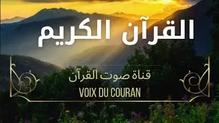 تلاوة سورة آل عمران برواية ورش عن نافع| بث مباشر