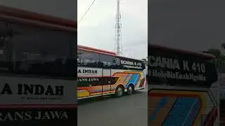 Rosalia Indah nomor lambung 3155 #videoshort #videobus #automobile #rosaliaindah