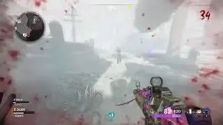 Multiplayer