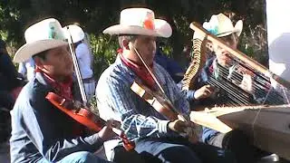 Son De Pascola Yoreme Mayo 2021 En San Ignacio Cohuirimpo, Navojoa