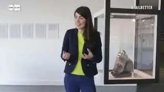 It's time to use the F-word - Outtakes of FAIL BETTER at Science Gallery