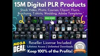 Mega Digital Products PLR Bundle: 15+ Million Files &ndash; The Ultimate Digital Asset Collection!