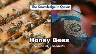 The Knowledge In Quran: 1.23 (Honey Bees)