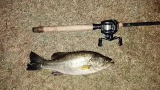 I'm gonna catch the state record largemouth (let's talk ep.1)