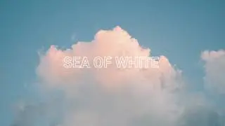 Divorce Court - Sea Of White