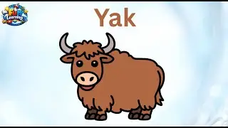 Letter Y | Alphabet Y | Phonics Letter | Kids ABCD Learning | ABC | Words starting from Alphabet Y