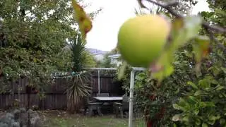 65 Rutherford Street, Woolston