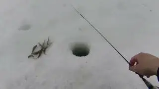 Зимняя РЫБАЛКА летом??? скучали??? а ЕРШ не дает грустить....