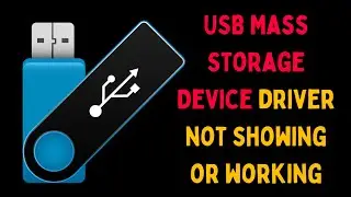How to Fix USB Mass Storage Device Driver Not Showing or Working on Windows 11
