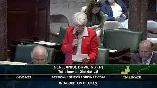 TN Republican Says There Is No Need for Immediate Gun Safety Legislation