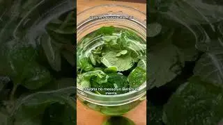🍋 Liquore digestivo di Natale: menta + limone, una magia!#liquoredinatale #natalericette