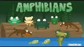 Toad, Frog, Pollywog! Amphibians Kids Song Salamanders Waterdogs Tadpoles Newt