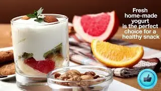 Introducing DXN Yogurt Maker (User Guide Video)